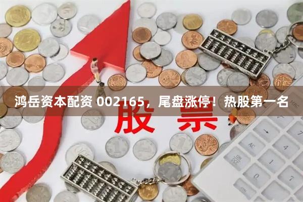 鸿岳资本配资 002165，尾盘涨停！热股第一名