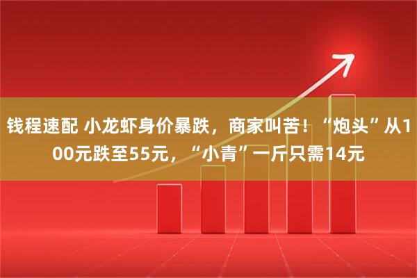 钱程速配 小龙虾身价暴跌，商家叫苦！“炮头”从100元跌至55元，“小青”一斤只需14元
