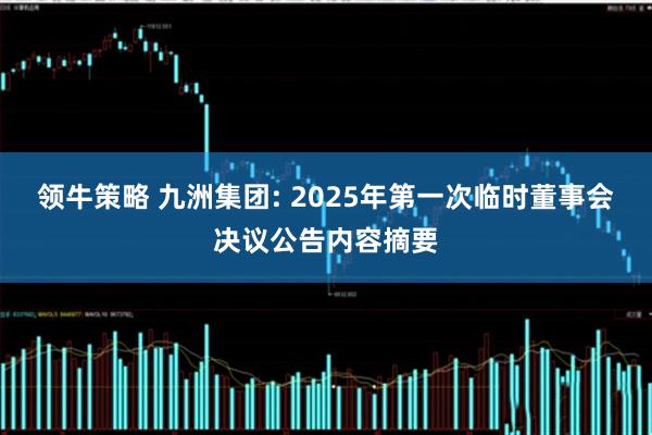 领牛策略 九洲集团: 2025年第一次临时董事会决议公告内容摘要