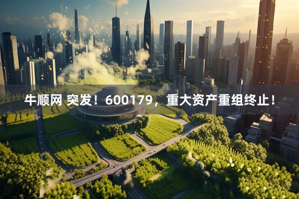 牛顺网 突发！600179，重大资产重组终止！