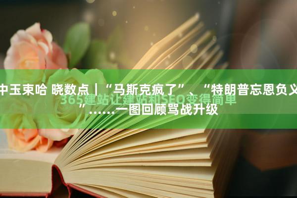 中玉束哈 晓数点｜“马斯克疯了”、“特朗普忘恩负义”......一图回顾骂战升级