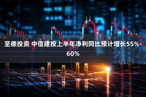 至德投资 中信建投上半年净利同比预计增长55%-60%