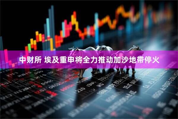 中财所 埃及重申将全力推动加沙地带停火